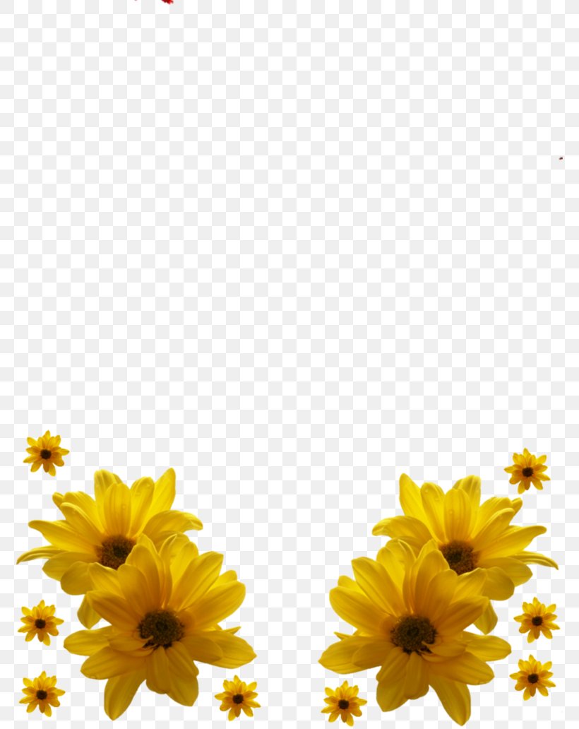 Paper Picture Frames Flower Clip Art, PNG, 774x1032px, Paper, Daisy, Daisy Family, Flower, Flowering Plant Download Free