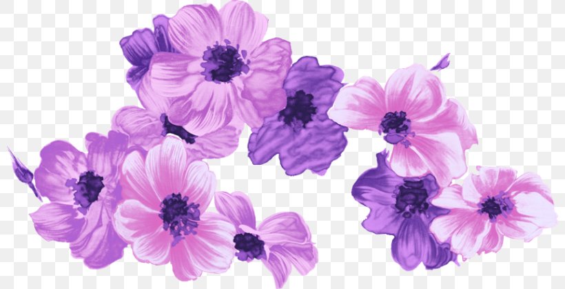 Purple Watercolor Flower, PNG, 800x419px, Flower, Anemone, Artificial Flower, Blossom, Color Download Free