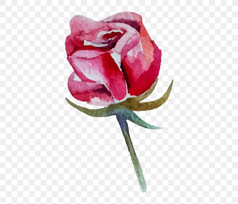 Watercolor Pink Flowers, PNG, 600x704px, Sticker, Anthurium, Blog, Bud, China Rose Download Free