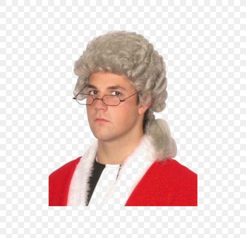 Wig Barrister Judge Lawyer Costume Party, PNG, 500x793px, Wig, Afro, Barrister, Cap, Chin Download Free