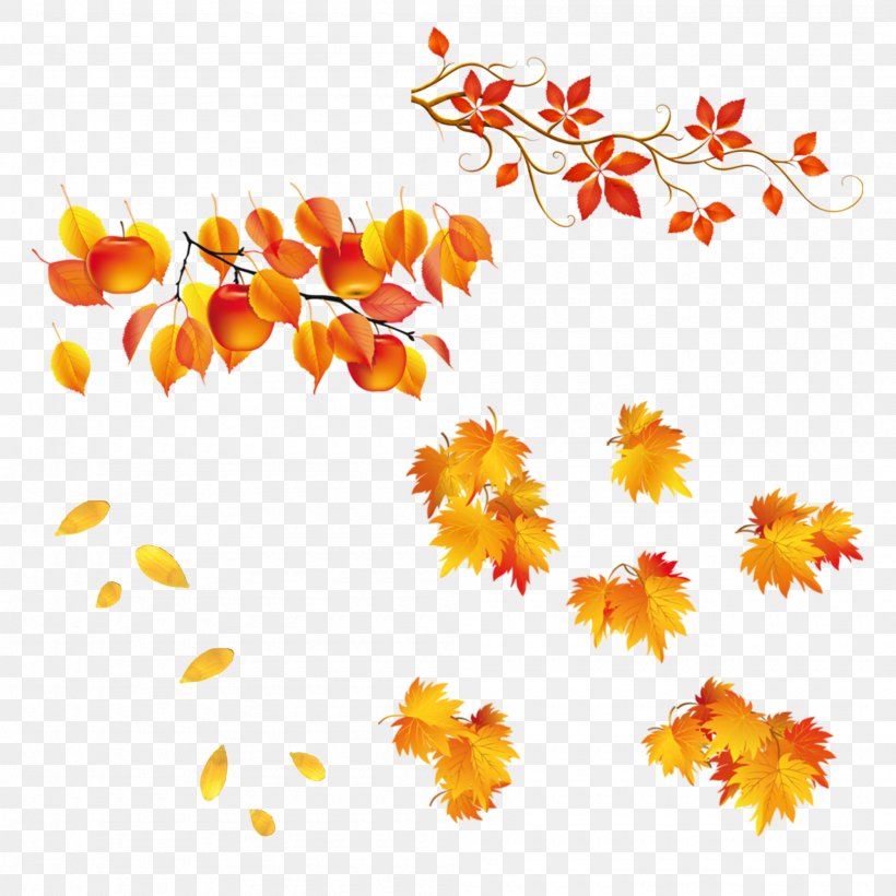 Autumn Leaf Clip Art, PNG, 2000x2000px, Autumn, Autumn Leaf Color, Autumn Leaves, Branch, Flora Download Free