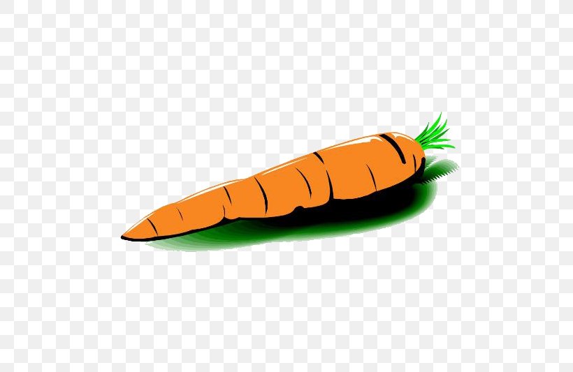 Carrot Vegetable Radish, PNG, 668x533px, Carrot, Daucus Carota, Drawing, Fruit, Orange Download Free