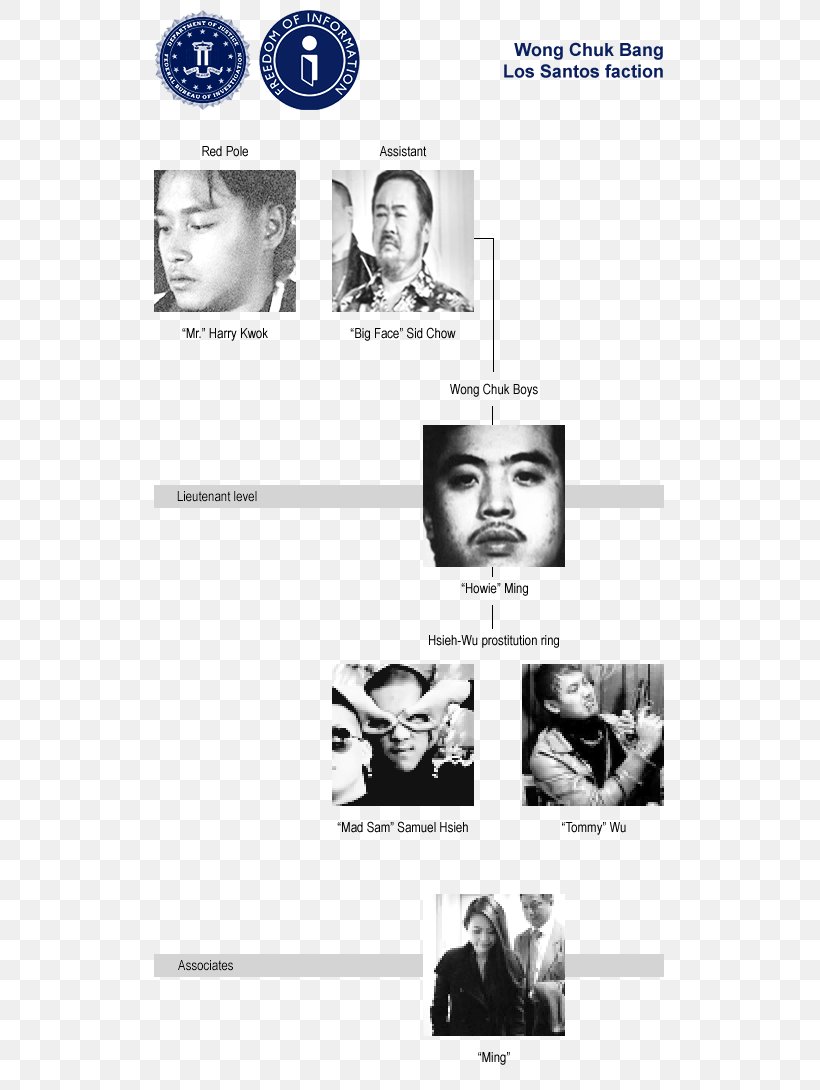 Chin Poster Federal Bureau Of Investigation Human Behavior, PNG, 528x1090px, Chin, Behavior, Black And White, Brand, Communication Download Free