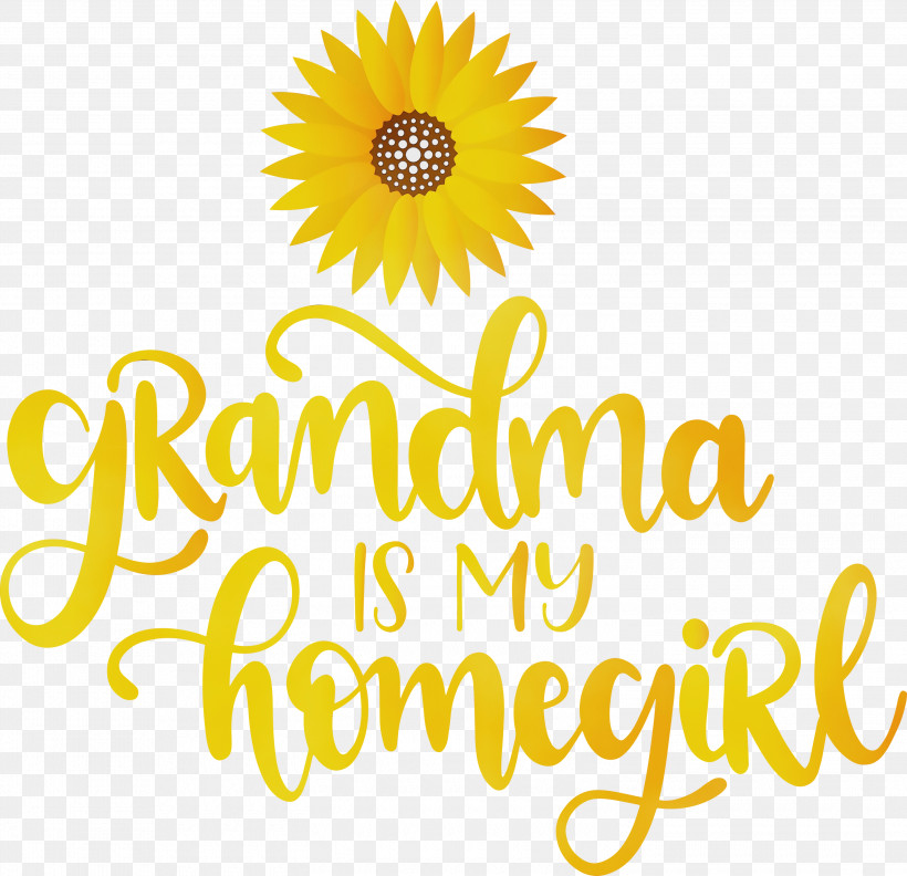 Floral Design, PNG, 3000x2901px, Grandma, Cut Flowers, Daisy Family, Floral Design, Flower Download Free