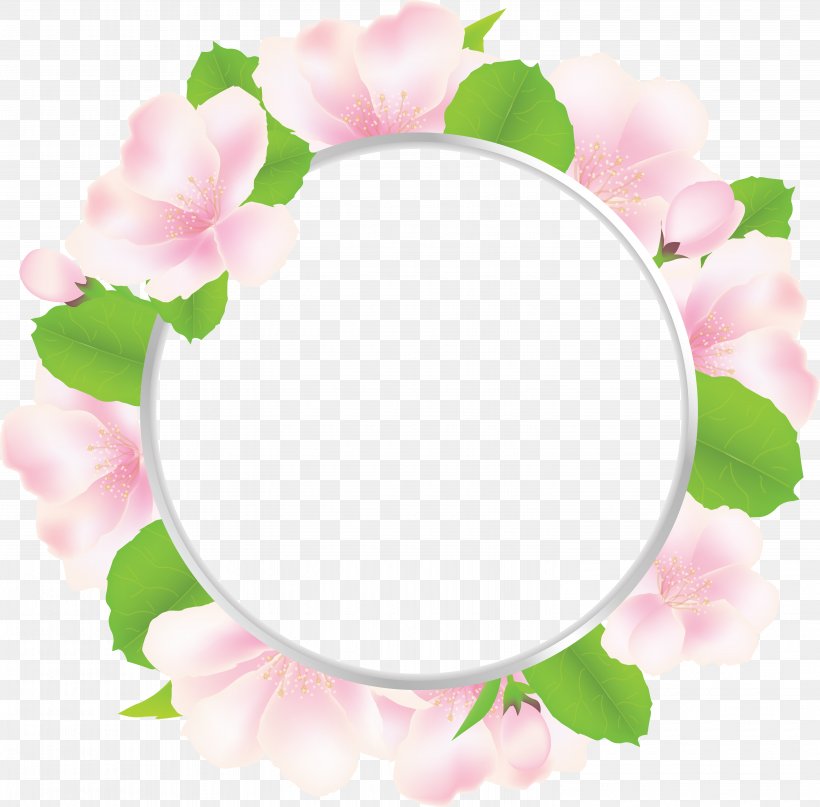 Petal Floral Design Rosaceae Picture Frames Rose, PNG, 5995x5903px, Petal, Blossom, Floral Design, Flower, Flowering Plant Download Free
