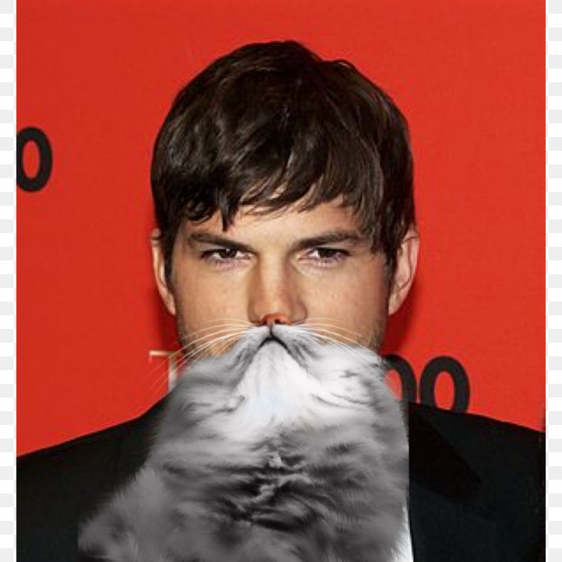 Ashton Kutcher Jobs United States Actor Michael Kelso, PNG, 1138x1138px, Ashton Kutcher, Actor, Beard, Celebrity, Cheek Download Free