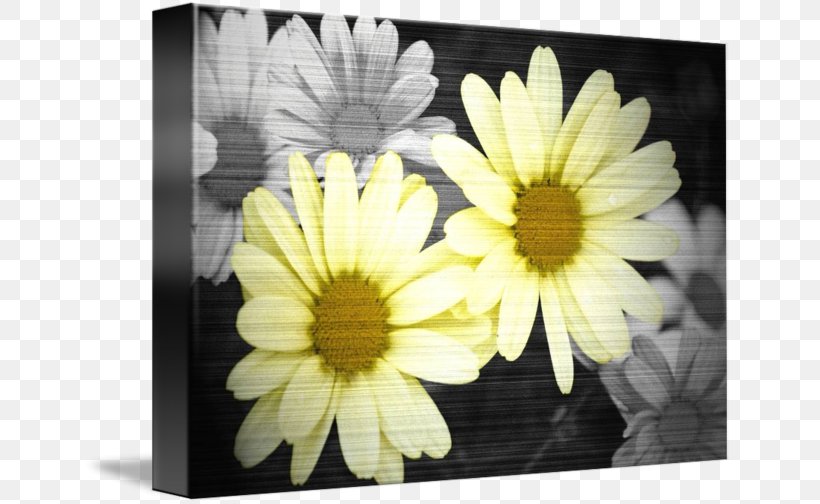 Black And White Yellow, PNG, 650x504px, Black And White, Art, Black, Blue, Chrysanths Download Free