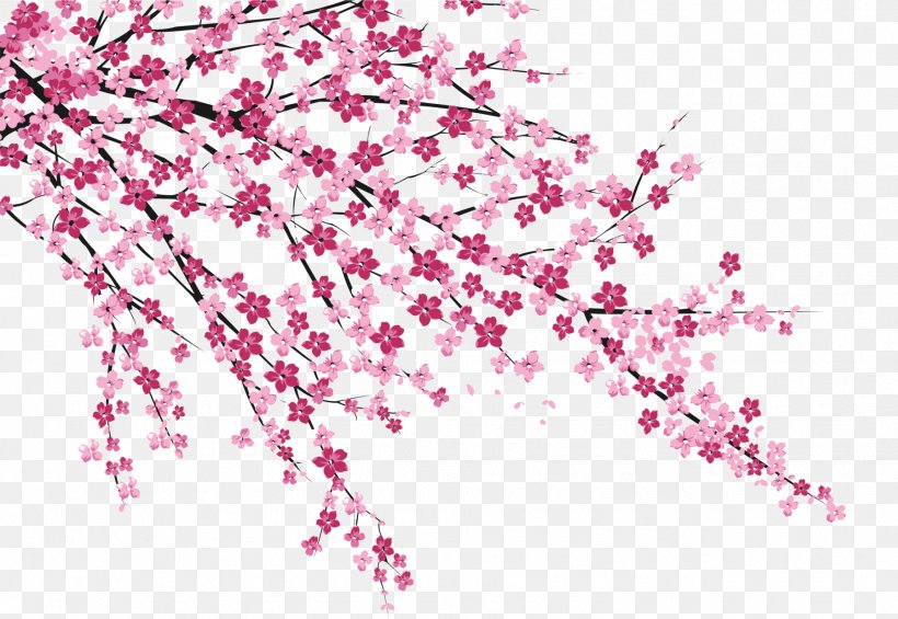 Cherry Blossom Sakura No Hanabiratachi Wall Painting, PNG, 1836x1267px, Cherry Blossom, Animation, Area, Blossom, Branch Download Free