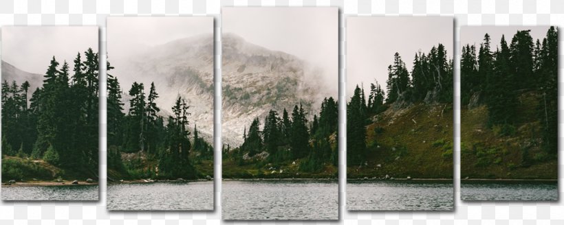 Cloud Forest Foggy Lake Karersee, PNG, 1000x400px, Cloud Forest, Biome, Cascade Range, Cloud, Ecosystem Download Free