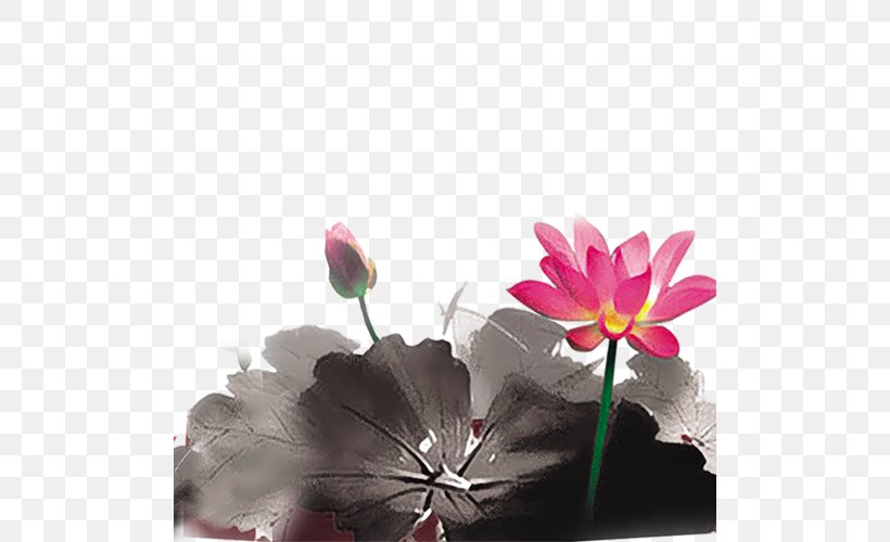 Ink Wash Painting Nelumbo Nucifera Download, PNG, 500x500px, Ink Wash Painting, Aquatic Plant, Feeling From Mountain And Water, Flora, Floral Design Download Free