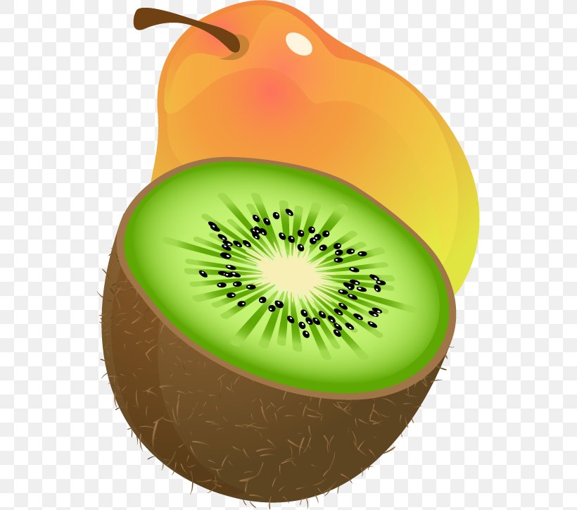 Kiwifruit Clip Art, PNG, 545x724px, Kiwifruit, Auglis, Berry, Food, Fruit Download Free