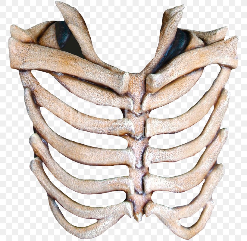 Mask Rib Cage Human Skeleton Skull, PNG, 800x800px, Mask, Bone, Clothing Accessories, Costume, Halloween Download Free