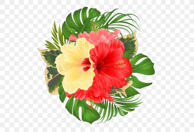 Pink Flower Cartoon, PNG, 600x560px, Shoeblackplant, Arrangement, Bouquet, Carnation, Cut Flowers Download Free