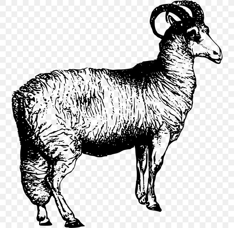 Blackhead Persian Sheep Welsh Mountain Sheep Argali Alpaca Clip Art, PNG, 740x800px, Blackhead Persian Sheep, Alpaca, Animal Figure, Argali, Black And White Download Free