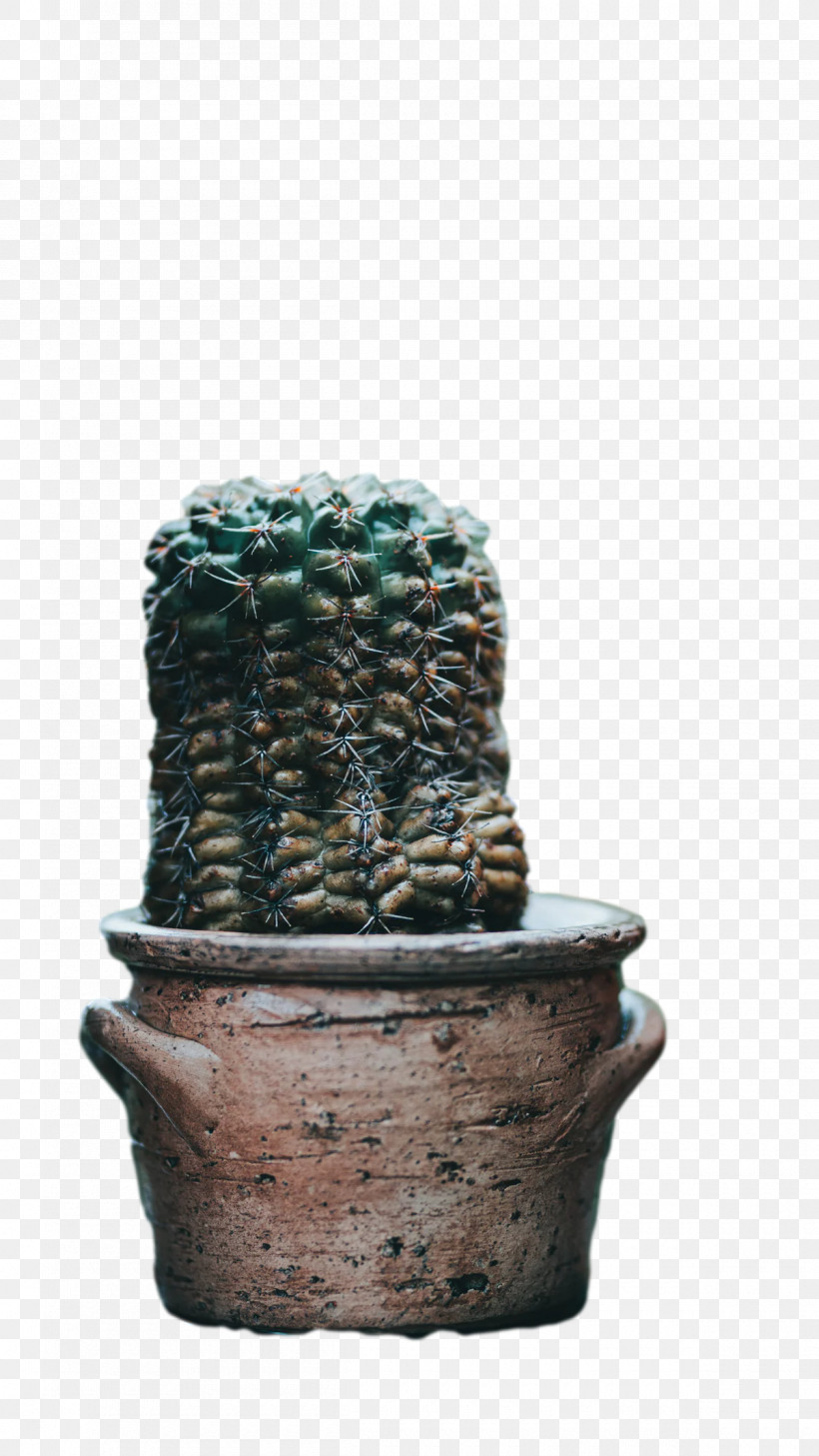 Ceramic Plants Flowerpot Citroën Cactus M Biology, PNG, 1200x2133px, Ceramic, Biology, Flowerpot, Plants, Science Download Free