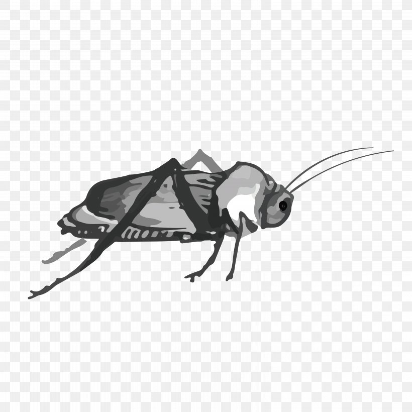 Cockroach Insect, PNG, 6297x6297px, Cockroach, Black, Black And White, Ink, Ink Wash Painting Download Free
