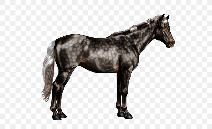 Horse Markings Chestnut Pinto Horse Equine Coat Color, PNG, 600x500px, Horse, Black, Black And White, Bridle, Brindle Download Free