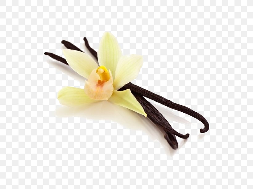 Ice Cream Milkshake Vanilla Extract, PNG, 640x614px, Ice Cream, Bean, Chocolate, Cream, Extract Download Free