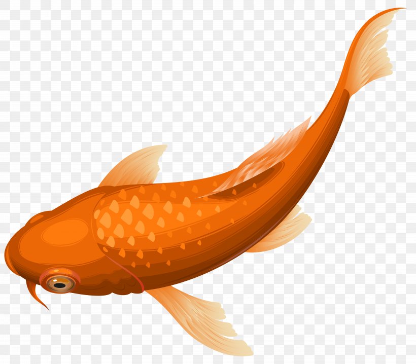 Koi Goldfish Clip Art, PNG, 8000x7007px, Koi, Carp, Common Carp, Drawing, Fish Download Free