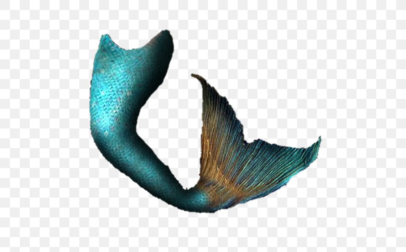 Mermaid Ariel Fairy Tale Siren Tail, PNG, 494x510px, Mermaid, Ariel, Fairy, Fairy Tale, Fish Download Free