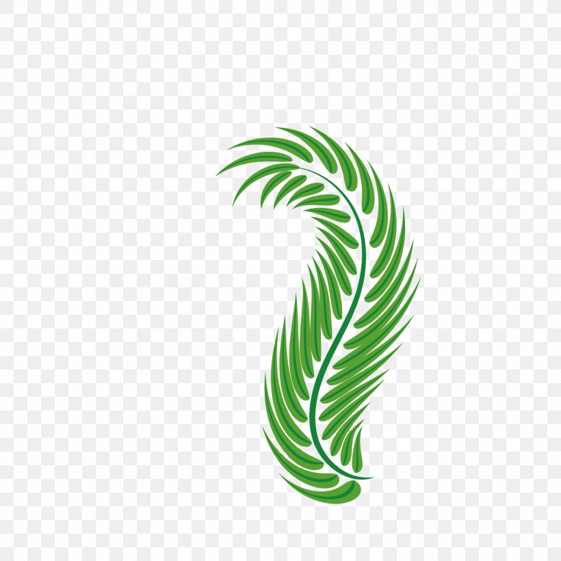 Palm-leaf Manuscript Green Arecaceae, PNG, 1500x1500px, Leaf, Arecaceae, Easter, Easter Palm, Grass Download Free