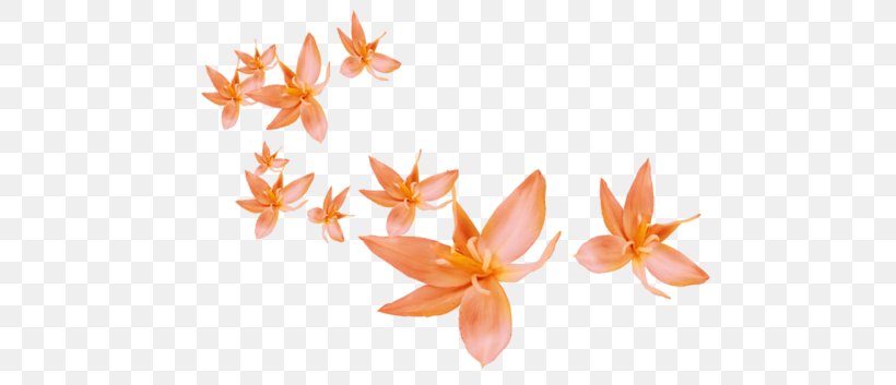 Petal Flower Leaf Clip Art, PNG, 500x353px, Petal, Flora, Flower, Leaf, Liveinternet Download Free