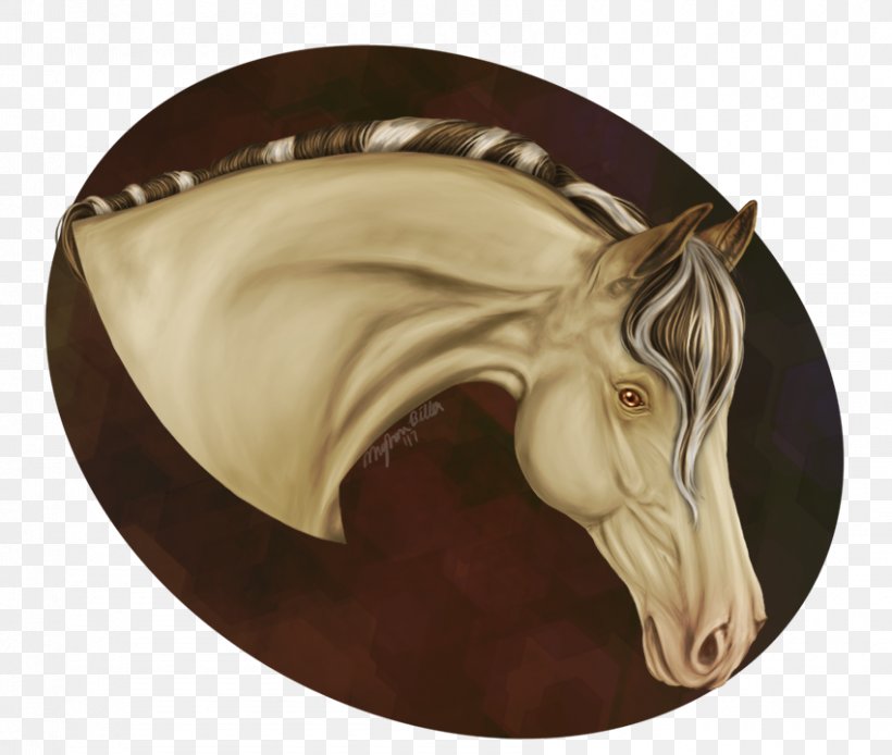 Rein Snout Halter, PNG, 850x720px, Rein, Halter, Head, Horse, Horse Like Mammal Download Free