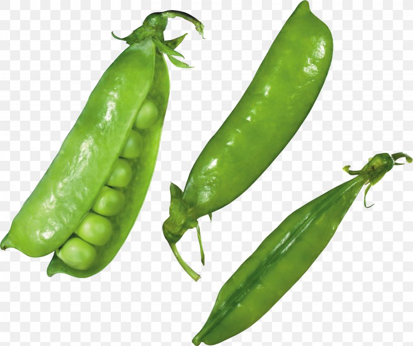 Snap Pea Snow Pea Serrano Pepper Icon, PNG, 3049x2561px, Snow Pea, Bean, Bell Peppers And Chili Peppers, Bird S Eye Chili, Cayenne Pepper Download Free