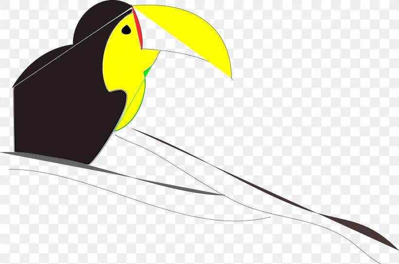 Toucan Beak Clip Art, PNG, 2400x1587px, Toucan, Beak, Bird, Piciformes, Vertebrate Download Free