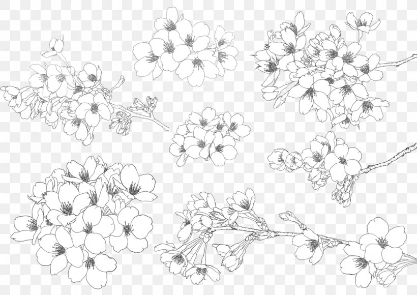Cherry Blossom Illustration, PNG, 1280x906px, Cherry Blossom, Black And White, Blossom, Body Jewelry, Cherry Blossom Front Download Free