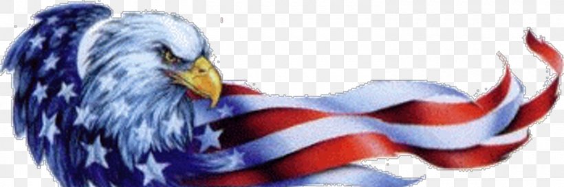 Independence Day Flag Of The United States Happy Birthday America! Image, PNG, 1500x500px, 2018, Independence Day, Beak, Bird, Eagle Download Free