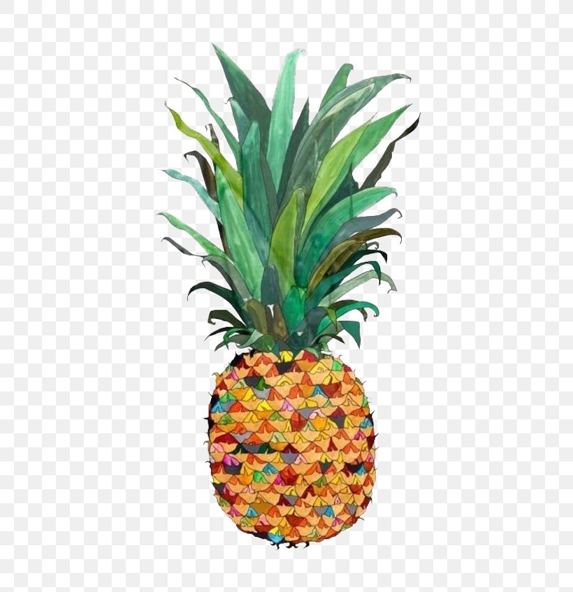 Pineapple Drawing Watercolor Painting Illustration, PNG, 700x847px, Pineapple, Ananas, Bromeliaceae, Crazy Pineapple, Drawing Download Free
