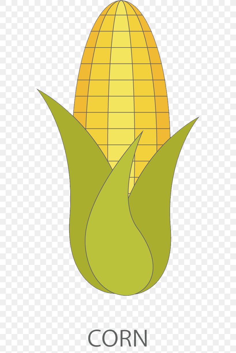 Sweet Corn Clip Art Cartoon Vegetable, PNG, 573x1226px, Corn, Anthurium, Cartoon, Flower, Flowering Plant Download Free