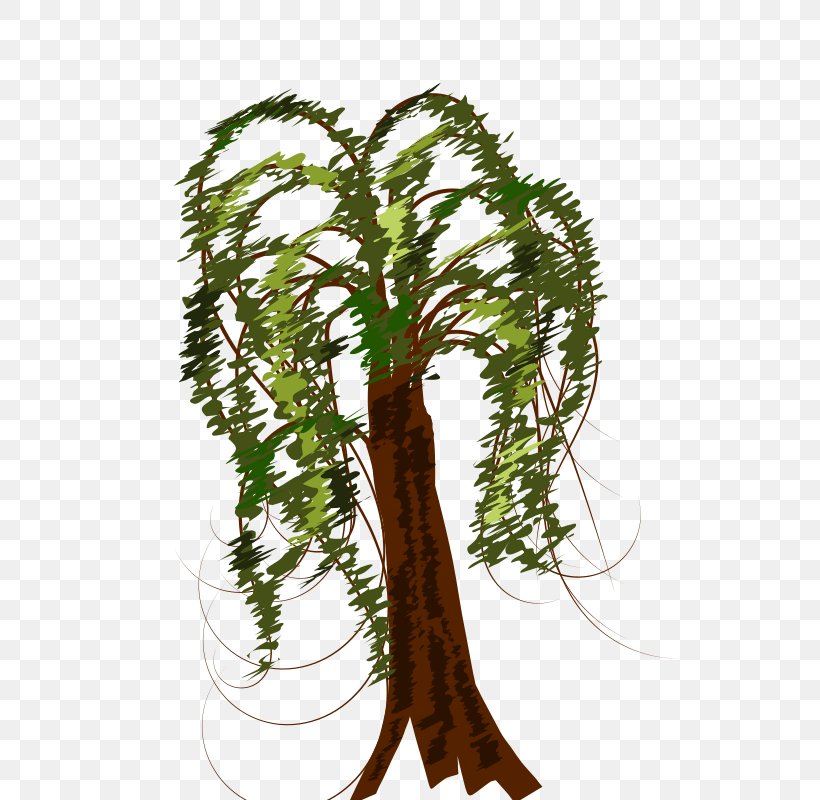 Tree Weeping Willow Twig Clip Art, PNG, 566x800px, Tree, Branch, Drawing, Floral Design, Flowerpot Download Free