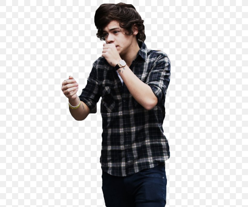Harry Styles One Direction Boy Band Idea, PNG, 500x686px, Watercolor, Cartoon, Flower, Frame, Heart Download Free