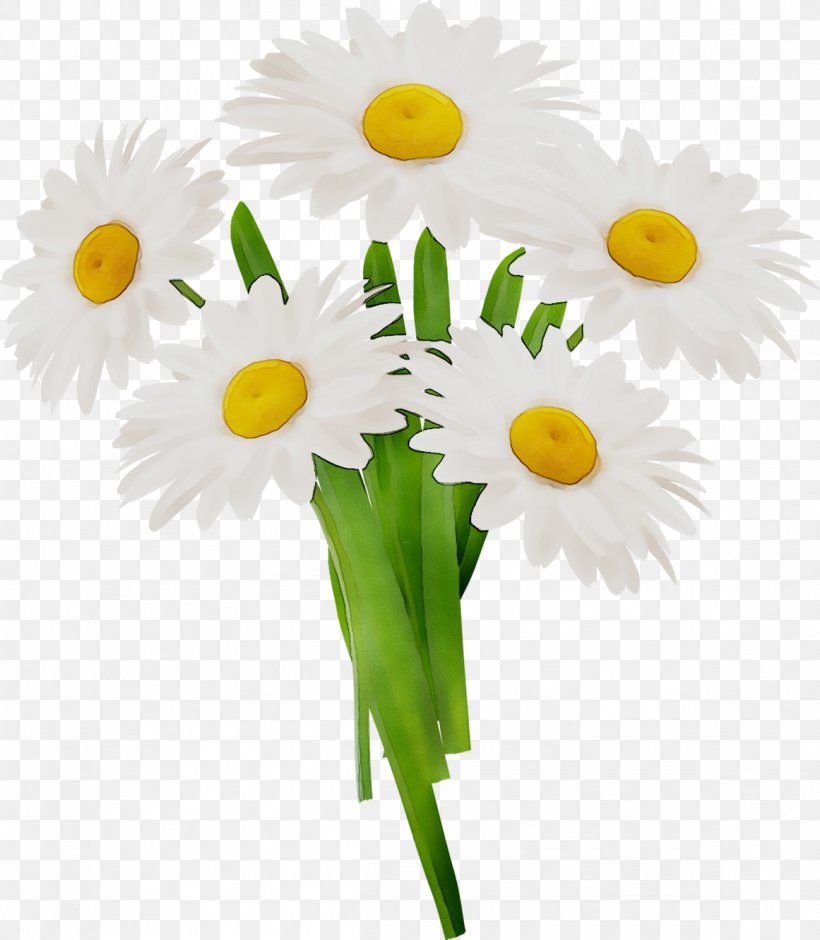 Oxeye Daisy Floral Design Cut Flowers Flower Bouquet, PNG, 1161x1332px, Oxeye Daisy, Bouquet, Camomile, Chamaemelum Nobile, Chamomile Download Free