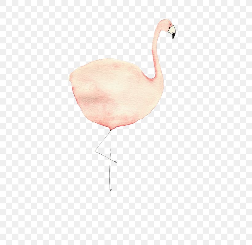 Flamingos Bird, PNG, 564x797px, Flamingos, Animation, Beak, Bird, Flamingo Download Free