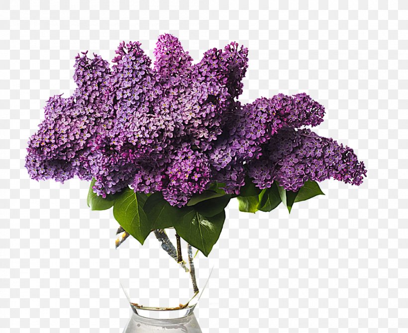 Lilac Flower Bouquet Stock Photography Vase, PNG, 1000x818px, Lilac, Artificial Flower, Color, Cut Flowers, Floral Design Download Free