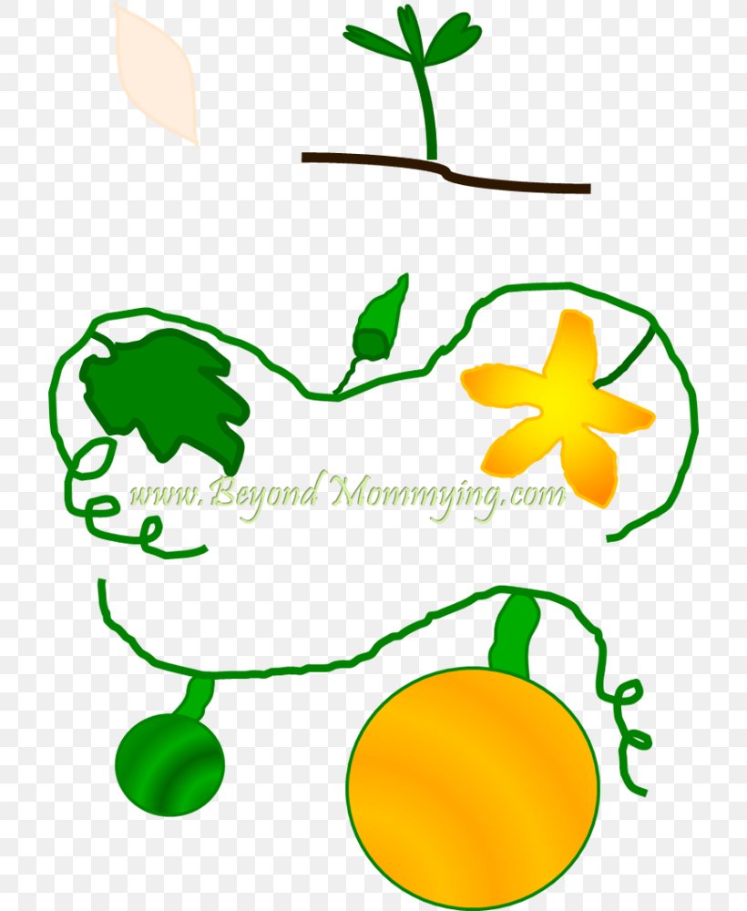 Big Pumpkin Book School Flower, PNG, 714x1000px, Pumpkin, Area, Artwork, Big Pumpkin, Book Download Free