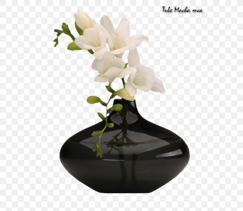 Vase Clip Art, PNG, 571x712px, Vase, Artifact, Cut Flowers, Decorative Arts, Flower Download Free