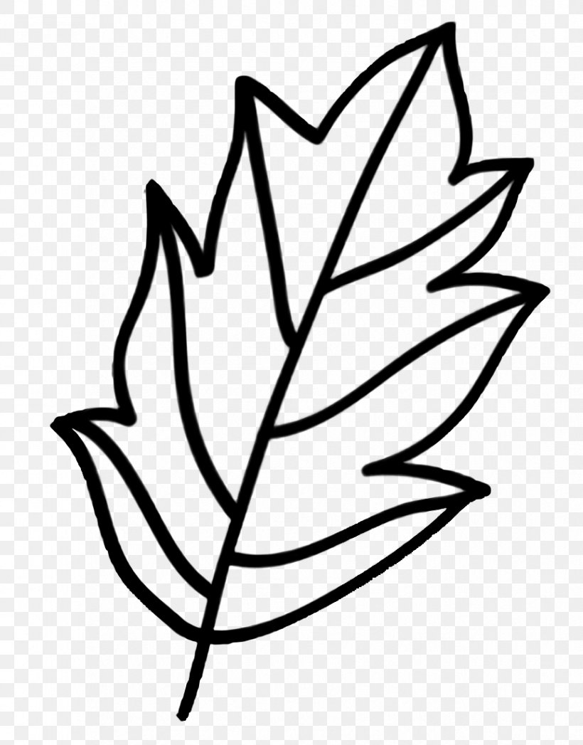 Flower Line Art, PNG, 864x1104px, Twig, Blackandwhite, Coloring Book, Drawing, Flower Download Free