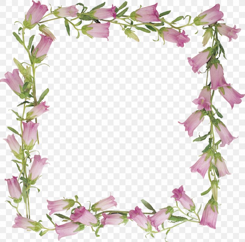 Picture Frames, PNG, 1036x1024px, Picture Frames, Blossom, Branch, Computer Software, Cut Flowers Download Free