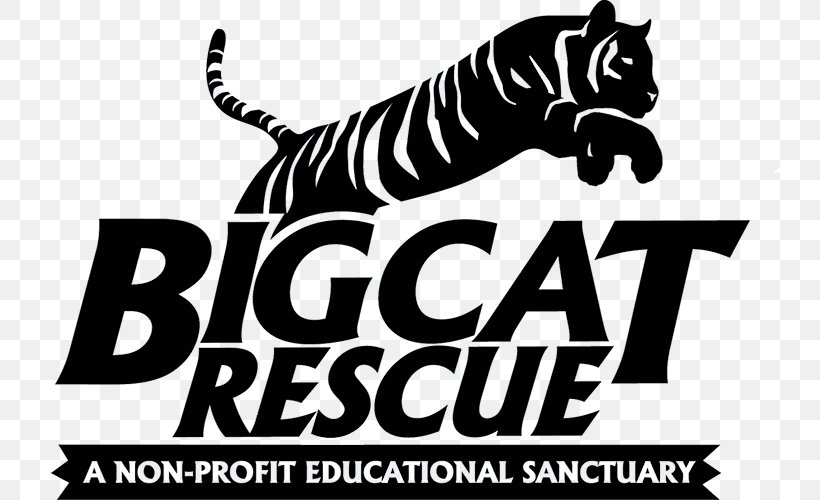 Tiger Big Cat Rescue Cougar Logo, PNG, 740x500px, Tiger, Animal, Animal Rescue Group, Animal Sanctuary, Big Cat Download Free
