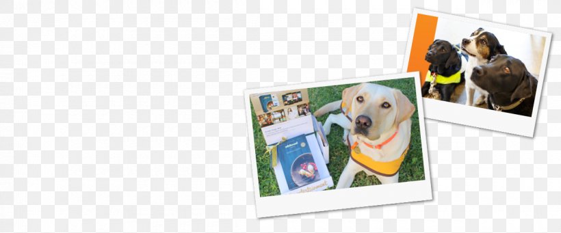 Dog Photographic Paper Picture Frames, PNG, 1200x500px, Dog, Paper, Photographic Paper, Photography, Picture Frame Download Free