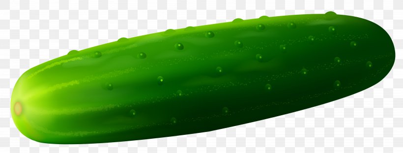 Pickled Cucumber Vegetable Clip Art, PNG, 4512x1721px, Cucumber, Animation, Cucumber Gourd And Melon Family, Cucumis, Food Download Free