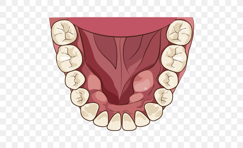 Tooth Alaleuanluu Dentist Jaw Mouth, PNG, 500x500px, Watercolor, Cartoon, Flower, Frame, Heart Download Free