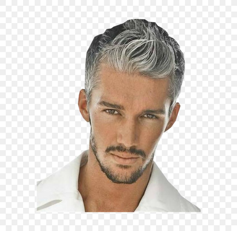 Hairstyle Hair Coloring Human Hair Color Grey, PNG, 800x800px, Hairstyle, Artificial Hair Integrations, Beard, Canities, Chin Download Free