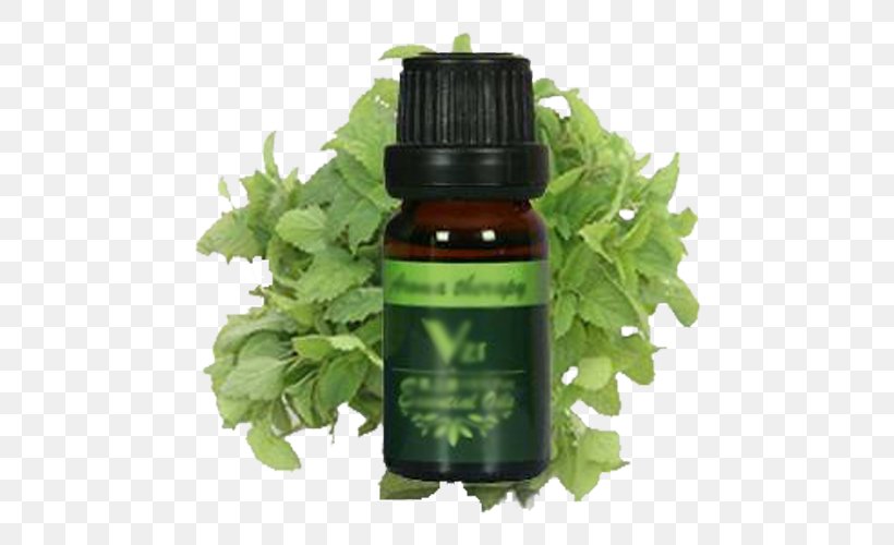 Lemon Balm Extract, PNG, 500x500px, Lemon Balm, Alibaba Group, Essential Oil, Extract, Extraction Download Free