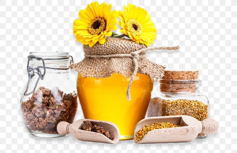 Bee Honey Energy Bar Hibernation Diet Health, PNG, 704x531px, Bee, Apitherapy, Beekeeper, Beekeeping, Beeswax Download Free