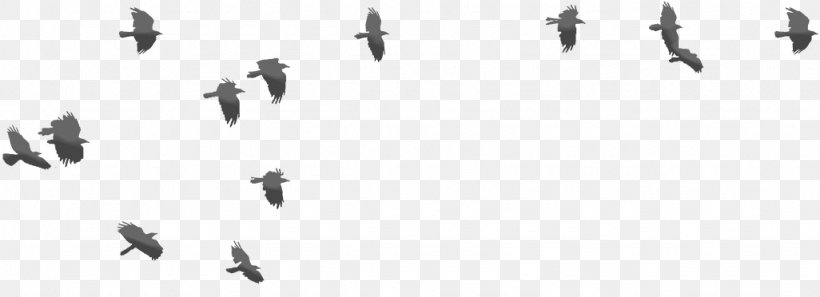 Bird Migration Line White Font, PNG, 1026x372px, Bird Migration, Animal Migration, Bird, Black And White, Flock Download Free